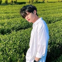 Sư Tử