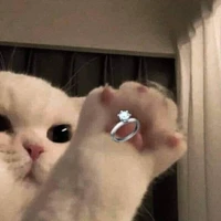 Quên tên òi 😕