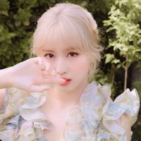 MoMo
