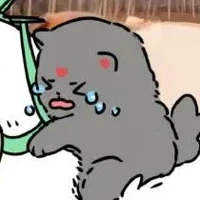 cục than( hệ thống)