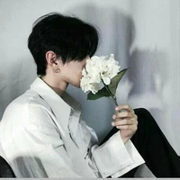 Bảo Long