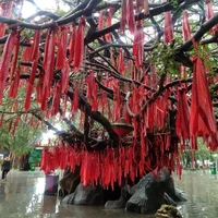 nhân vật phụ nữ