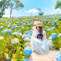 Nguyệt Ảnh Phương_Linda (BFF nu9)