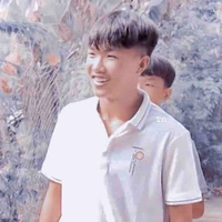 Phạm Đình Hoà