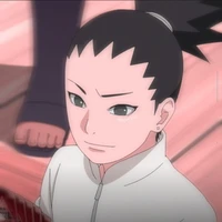 Nara Shikadai
