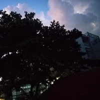 Tác Giả ( Mới Vô Nghề )