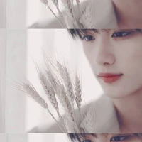 Đinh Trình Hâm