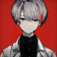 Kawasaki kaito