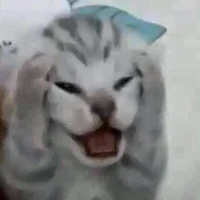 con nhỏ tác giả:)