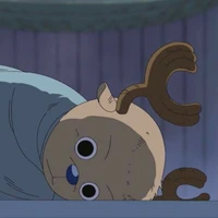Chồn 🦝