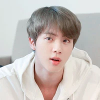 Kim Seokjin (Mẹ Lisa và Hắn)