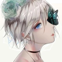 t/g cute phô mai que