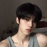 Na9 Nguyễn Hoàng Việt -anh