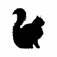 Black Cat • Lucilfer