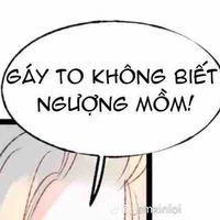 Nv nam