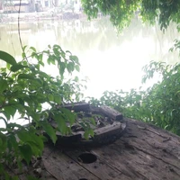 Chủ Nhiệm