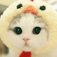 tác giả Miru