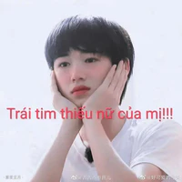 Coan t/g