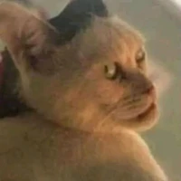 tất cả,trừ những người cần trừ