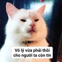 tác giả