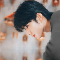 Lưu Diệu Văn