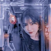 Trần kim dương