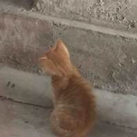 phototấtcảcácloạigiấytờcầnthìliênhệ