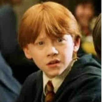 Ron Weasley 