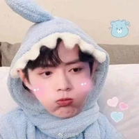 vương tiểu tinh(beta)