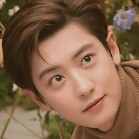 Park Chan Yeon