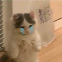 TG đáng iu♡