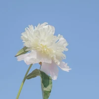 Long Thần - Lục Quân Giao