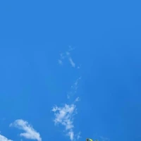 ?????