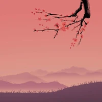 pokemon tổng hợp