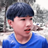 Phạm Đình Hoà ( Phạm Tổng )
