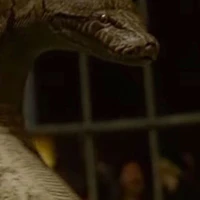 Nagini