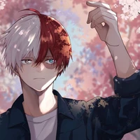Todoroki Shoto