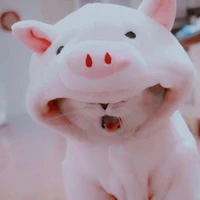 Con au (´⊙ω⊙`)