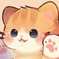 nvp nói chung