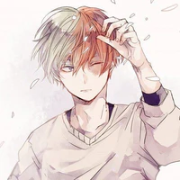 Todoroki Shoto