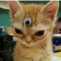 Nhân Vật ko quan trọng