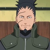 Nara shikaku