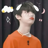 Đinh Trình Hâm (khi nhỏ)