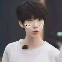 Hạ Tuấn Lâm (khi nhỏ)