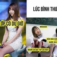 Con cà khịa 