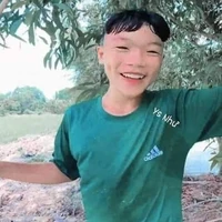 Phạm Thanh Nhã(Phạm tổng nhỏ)