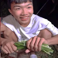 Phạm Đình Hòa