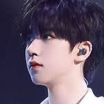 Hạ Tuấn Lâm