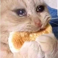 tác giả óc tóc :))