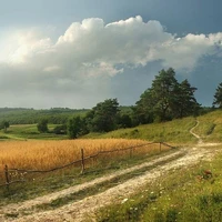 All